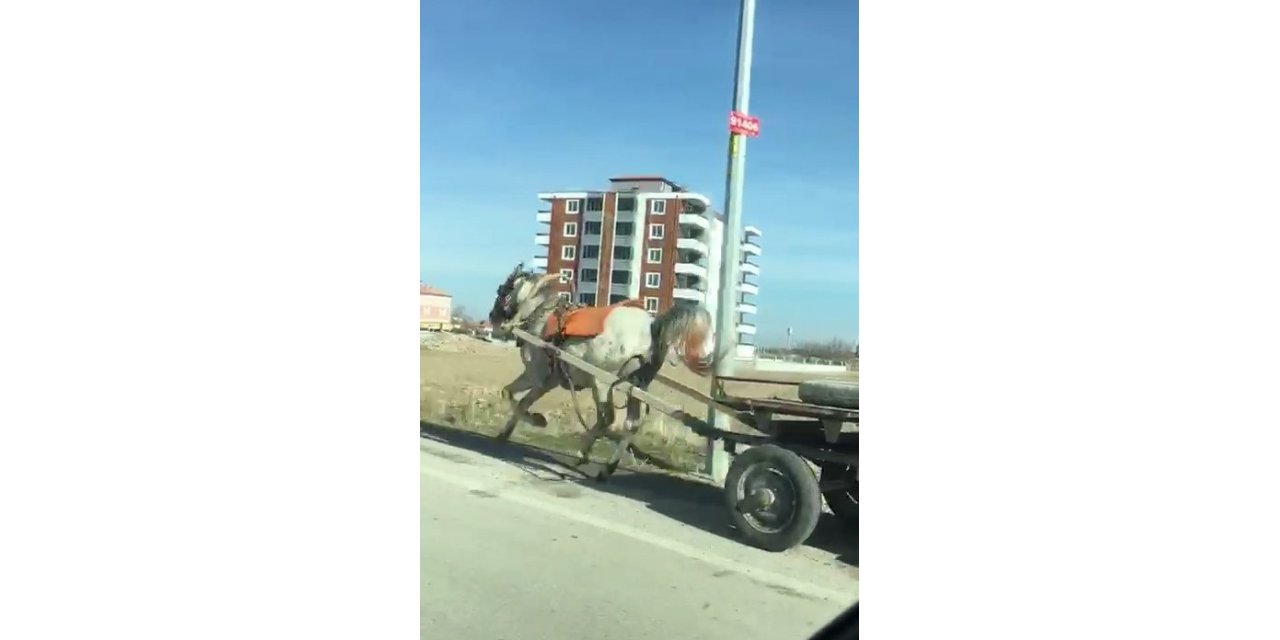 Konya’da başıboş at trafikte tehlike saçtı