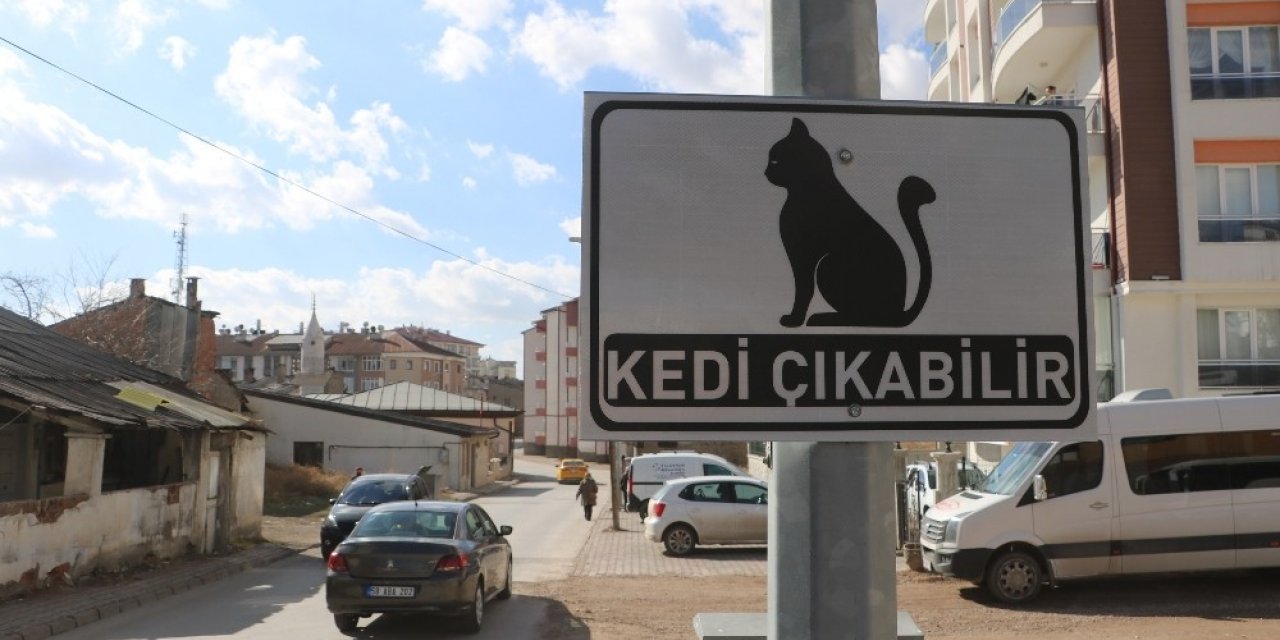 Dikkat kedi çıkabilir