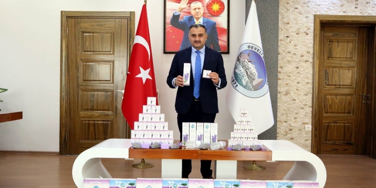 Lavanta bahçesinden ilk ürünler alındı