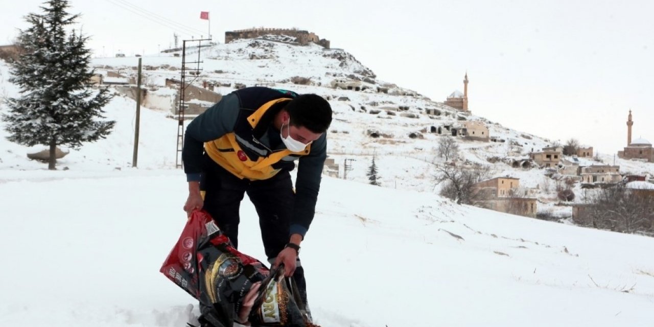 Nevşehir’de sokak hayvanları unutulmadı