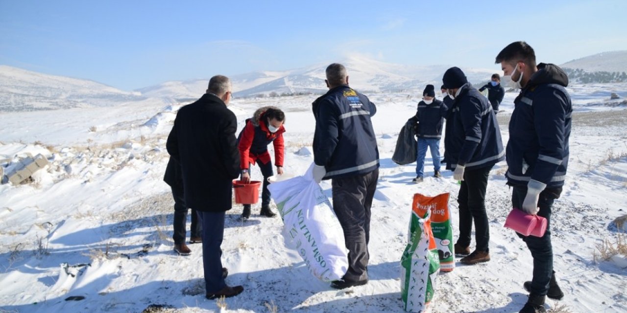 Kırşehir Belediyesi’nden yaban hayvanlarına mama ve kulübe