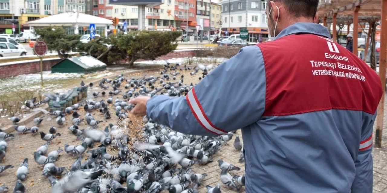 Sokaktaki canlar aç bırakılmıyor