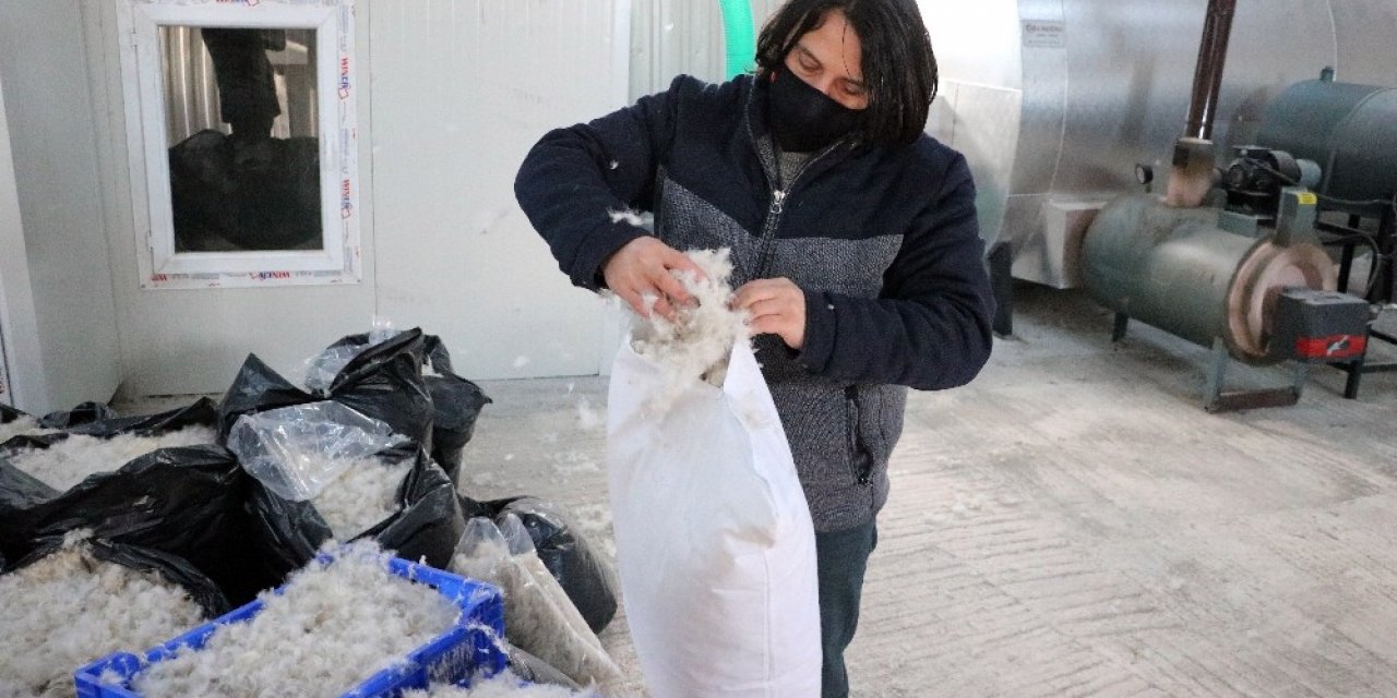 Yozgat’ta üretilen kaz tüyü Avrupa’ya ihraç ediliyor