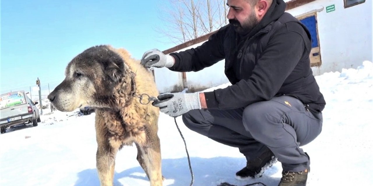 Türkiye’nin en yaşlıları arasında, yıllara meydan okuyor