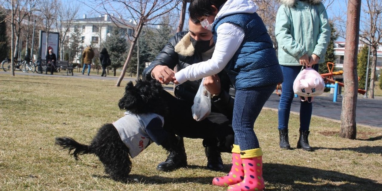 Güneşi gören parklara döküldü