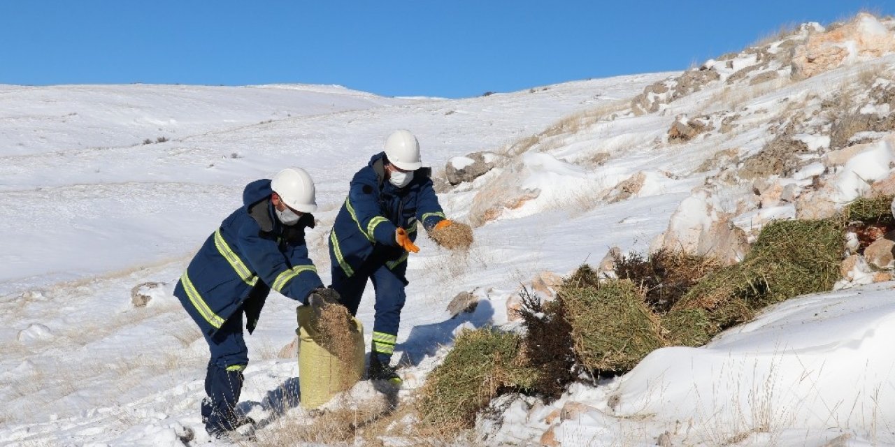 Hem arıza giderdiler hem de yabani hayvanları doyurdular