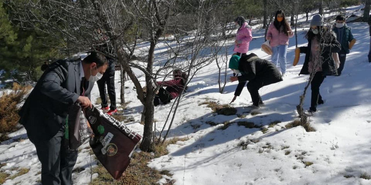 Çiçekdağı’nda kuşlar için dağlara yem bırakıldı