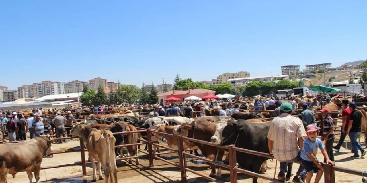 Nevşehir’de Hayvan Pazarı 1 Mart’ta yeniden açılıyor