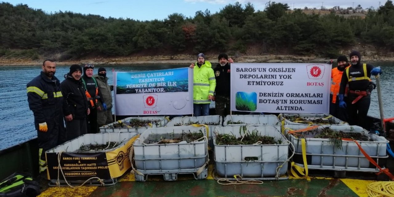 BOTAŞ’tan Saros Körfezi’nde gerçekleştirdiği proje alanına 100 bin ağaç