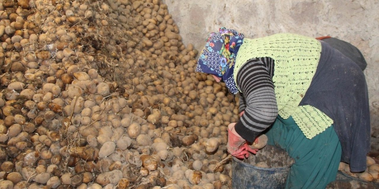 Bağcılar Belediyesi, Nevşehir’den 100 ton patates aldı