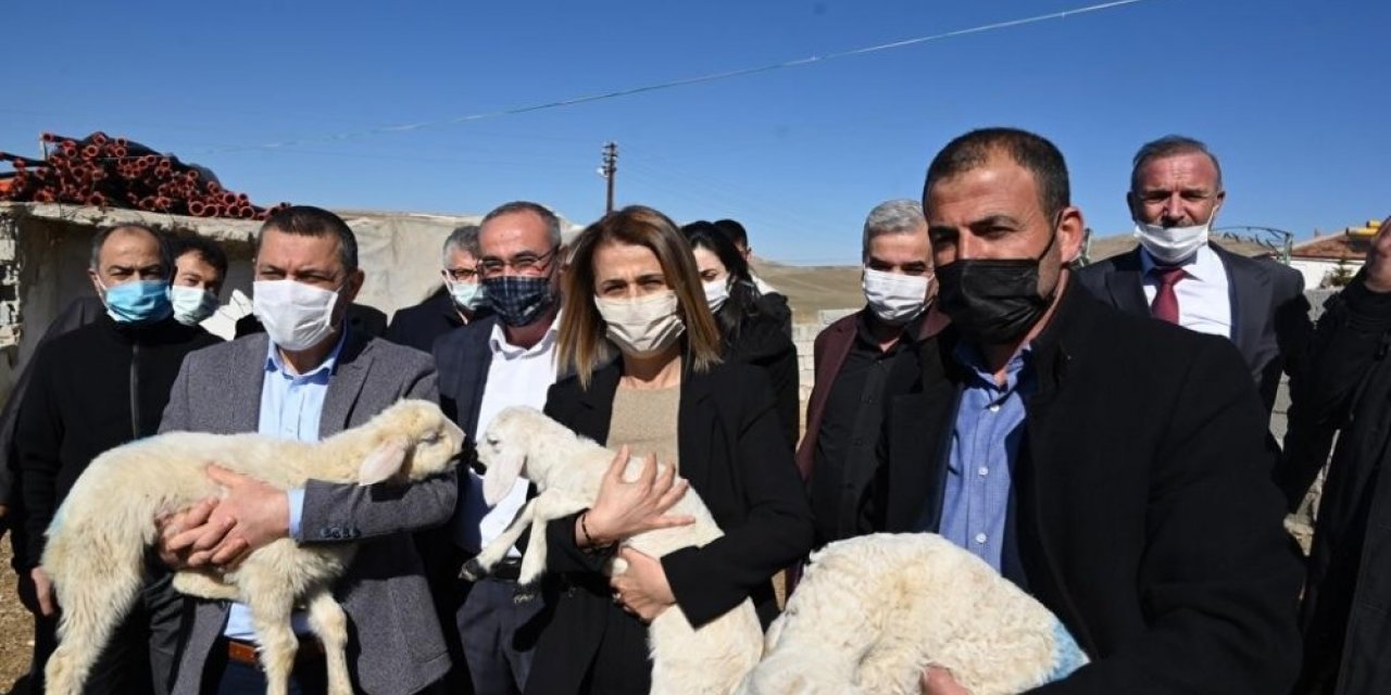 Yangında koyunları ölen çiftçiye Vali destek çıktı