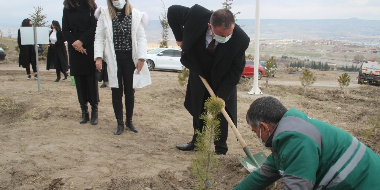 Kayseri Barosu Kadınlar Günü’nde ağaç dikti