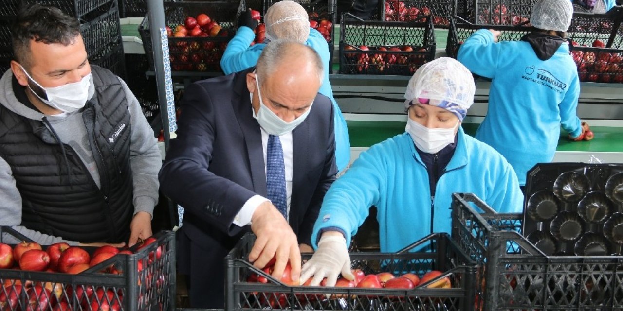 Başkan Öztürk; “Elma üreticilerinin sorunlarını çözmek istiyoruz”