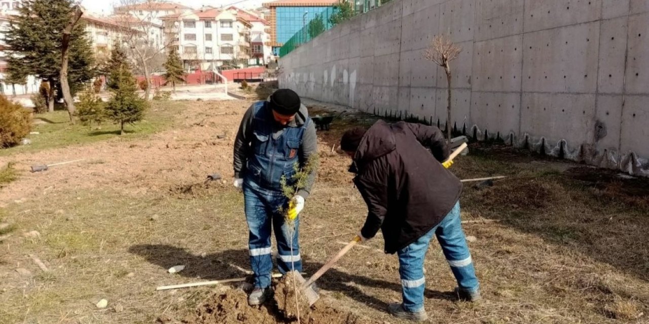 Keçiören’de ağaçlar öğrencilere emanet