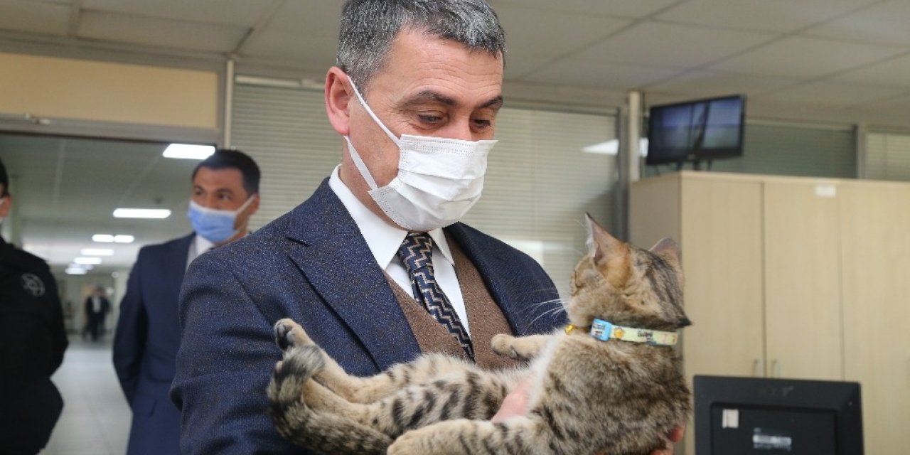 Leo, Gölbaşı Belediyesi’nin Maskotu oldu