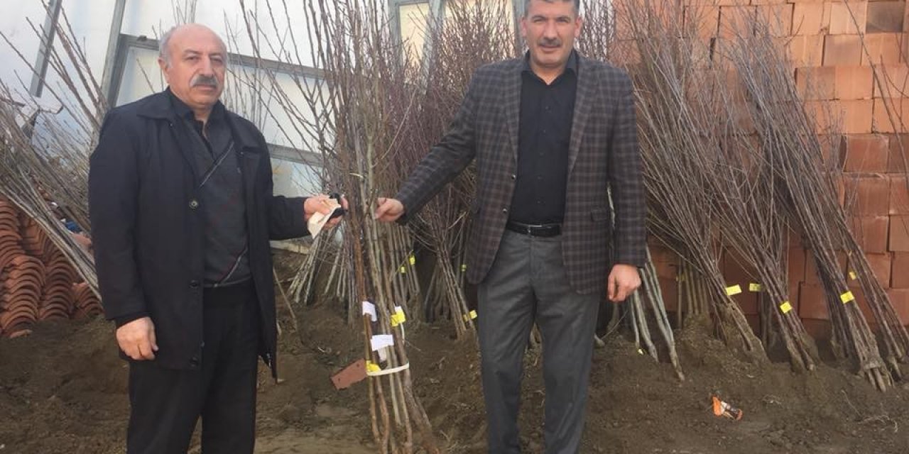 Akdağmadeni’nde meyve fidanı  ve tohum satışına başlandı