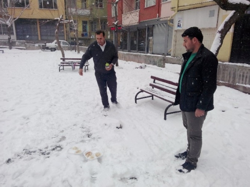 Aksaray'da sokak hayvanları için yem bırakıldı