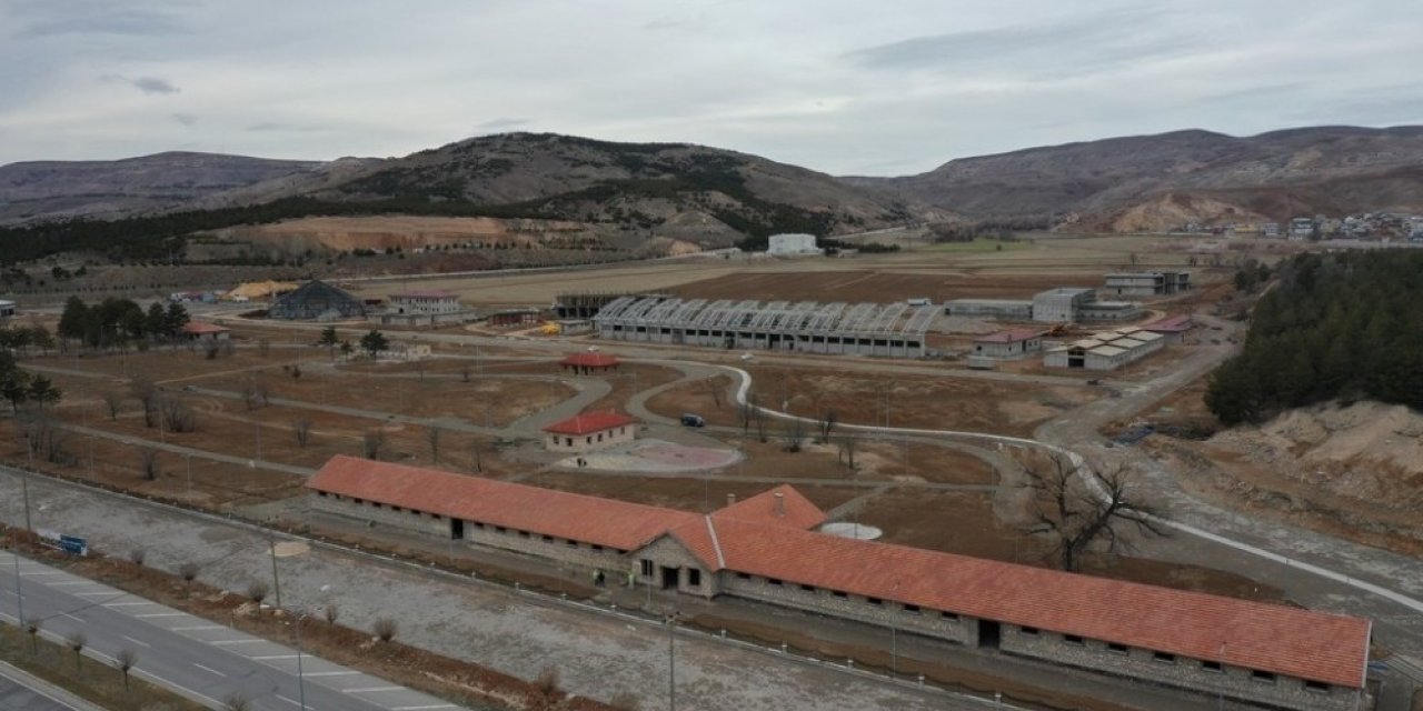 Saraya at yetiştirilmişti, çalışmalar hızla sürüyor