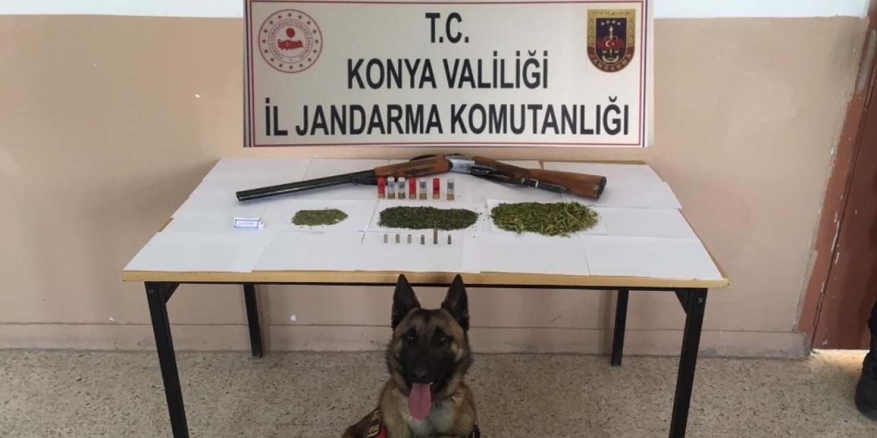 Jandarma’dan uyuşturucu operasyonu