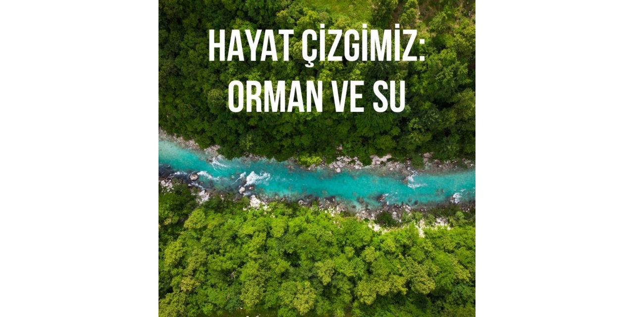 TEMA Vakfı Başkanı Deniz Ataç, "Ormanların tahrip edilmesi salgınları beraberinde getirdi"