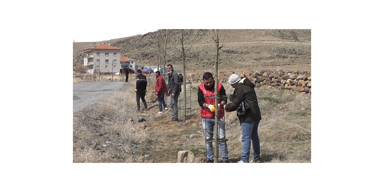 Daha yeşil Çaylıca için 200 ağaç dikildi