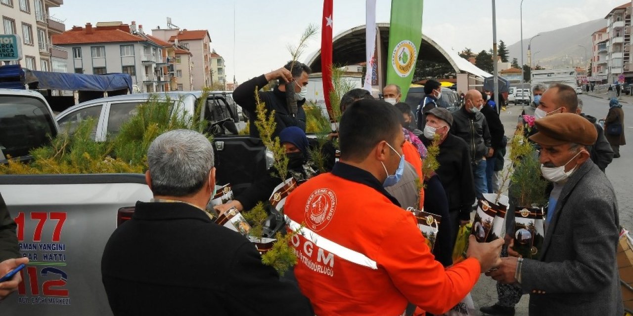 Akşehir’de vatandaşlara fidan dağıtıldı