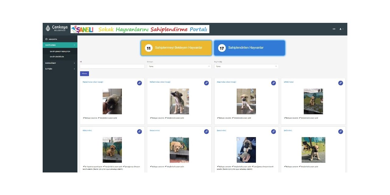 Çankaya Belediyesi “sokak hayvanlarını sahiplendirme portalı” oluşturdu