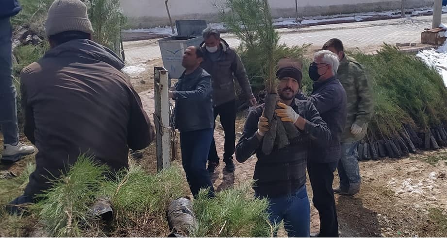 Bir duyarlı davranış! Eskil'de ücretsiz olarak 15 bin fidan dağıtılıyor