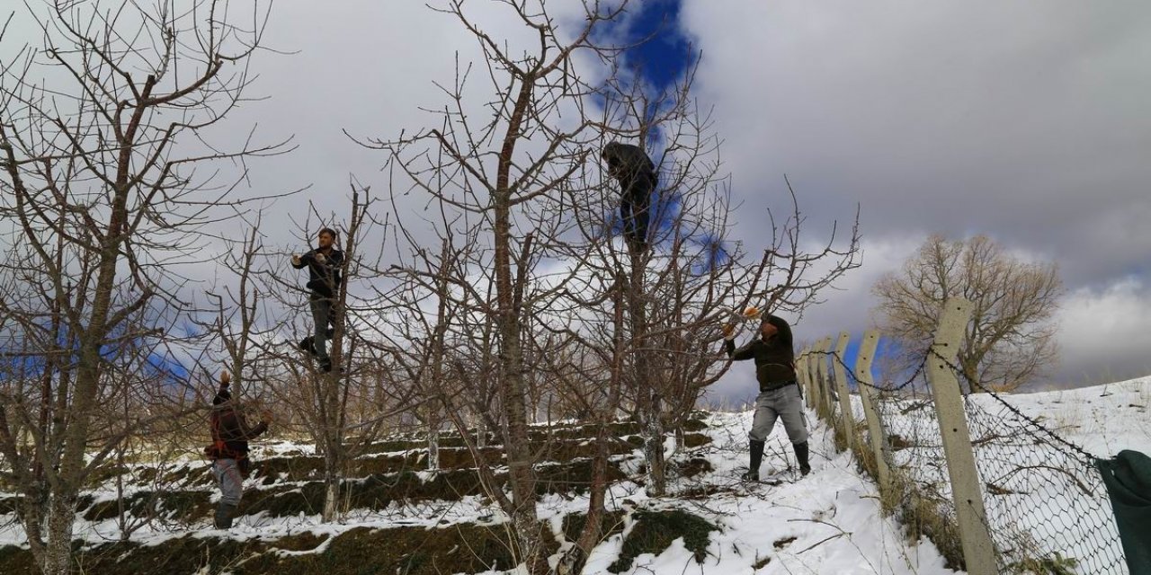 Toroslar’daki kiraz bahçeleri kar altında yeni sezona hazırlanıyor