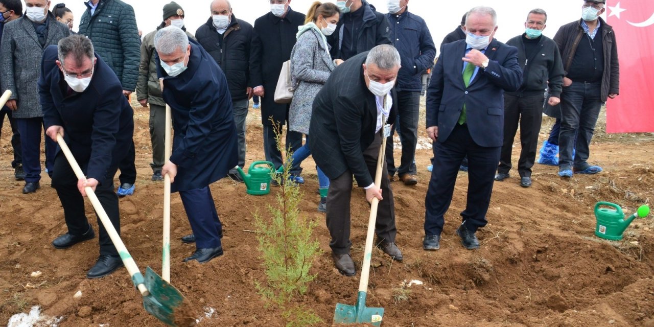 Ahi Evran Kardeşlik Ormanına İlk Fidanlar Dikildi