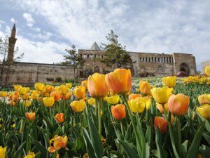 Konya'da lale zamanı