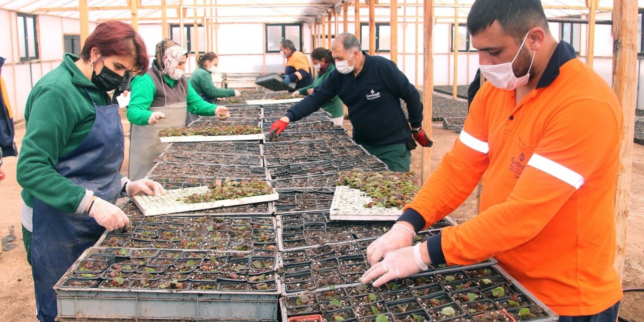 Çankaya’dan çiçek satışı