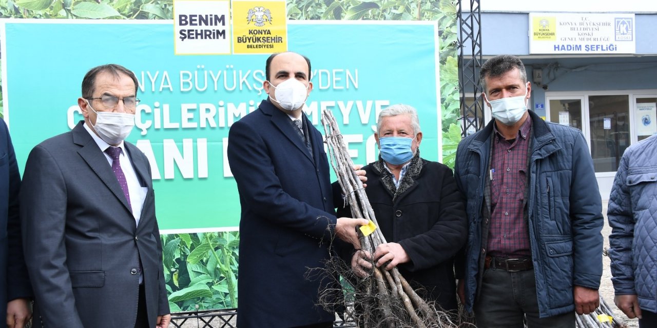 Başkan Altay, Hadimli çiftçilere sertifikalı ceviz fidanı dağıttı