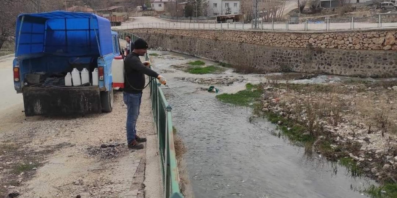 Gürün’de larvalara karşı ilaçlamalar başladı