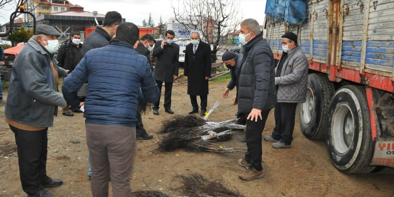 Akşehir’de üreticilere ceviz fidanı dağıtıldı