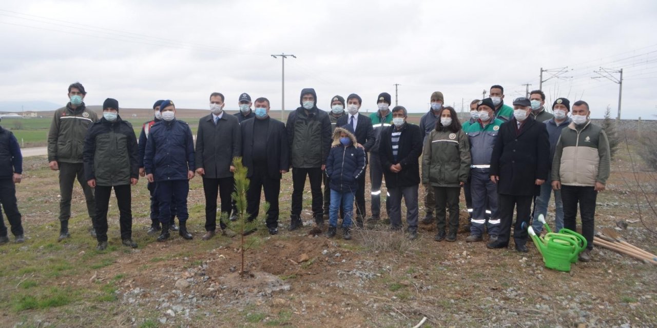 Şehit Neşet Gök Hatıra Ormanı’na yeni fidanlar dikildi