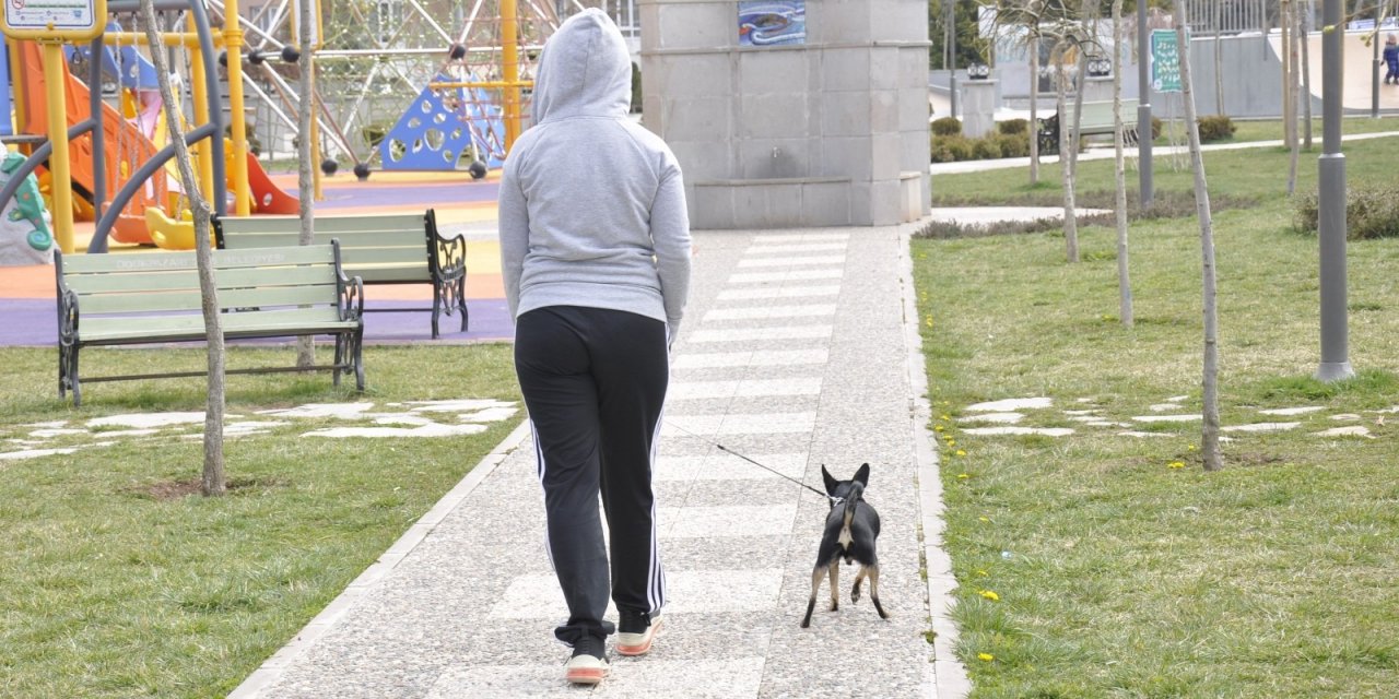 Hafta sonu parklar köpeklerini gezdiren vatandaşlara kaldı