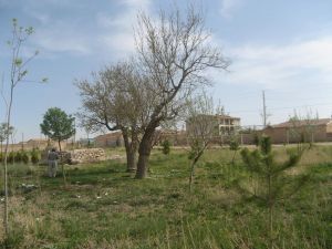 ATSO yönetimi Polonya’da incelemelerde bulundu