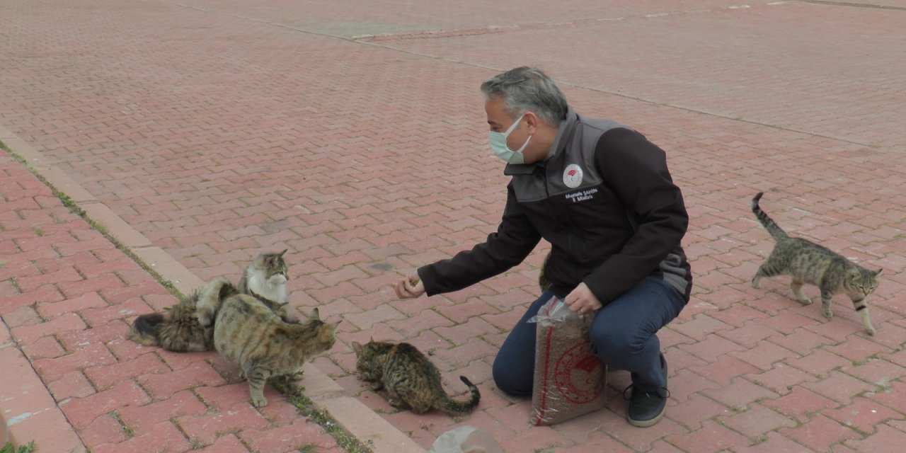 İl Tarım ve Orman Müdürlüğü ‘Dünya Sokak Hayvanları Günü’nde sokak hayvanlarına mama dağıttı