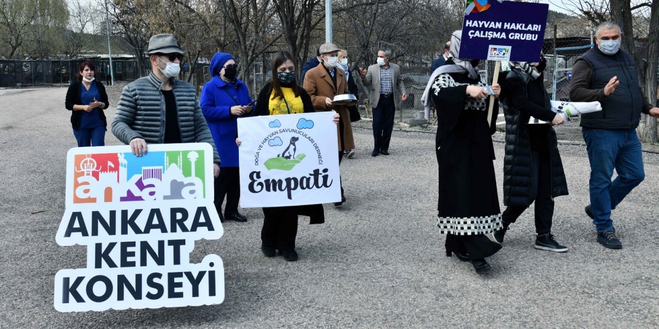 Başkentli hayvanseverler sokak hayvanları için bir araya geldi