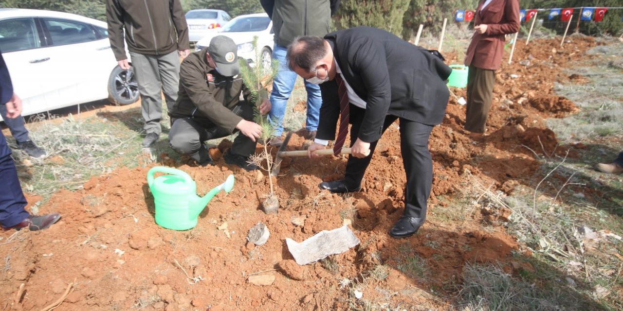 Beyşehir’de şehitler ve gaziler için orman fidanları toprakla buluşturuldu