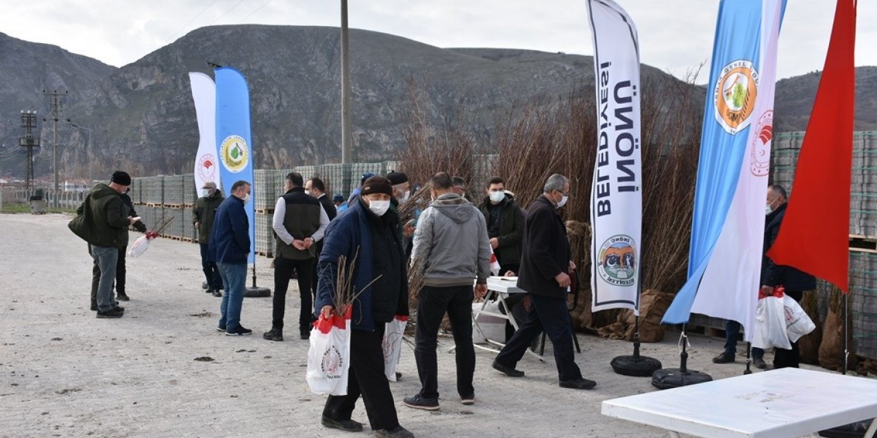 İnönü’de ücretsiz dağıtılan fidanlar nefes olacak