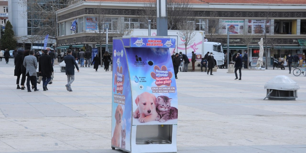 Kırşehir Belediyesi sokak hayvanları için ‘mamamatik’ uygulama noktası oluşturdu