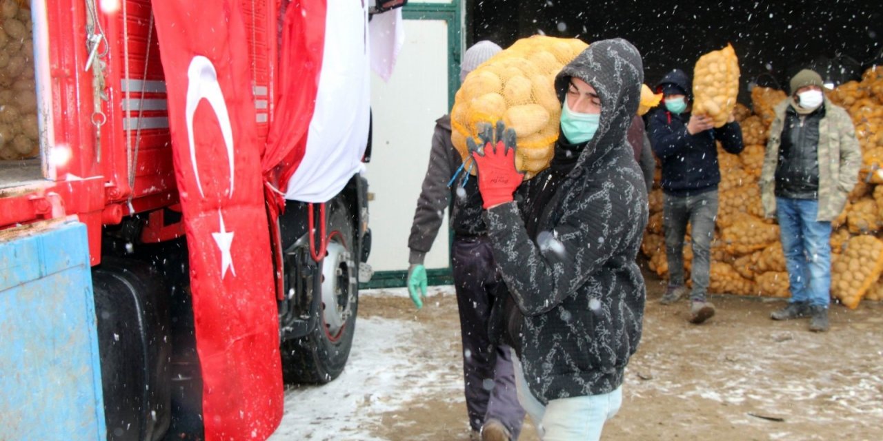 TMO, Nevşehir’de patates alımlarına başladı