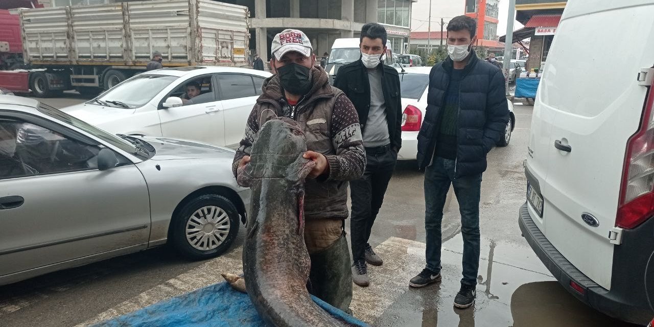 Kendi boyundan uzun balık yakaladı