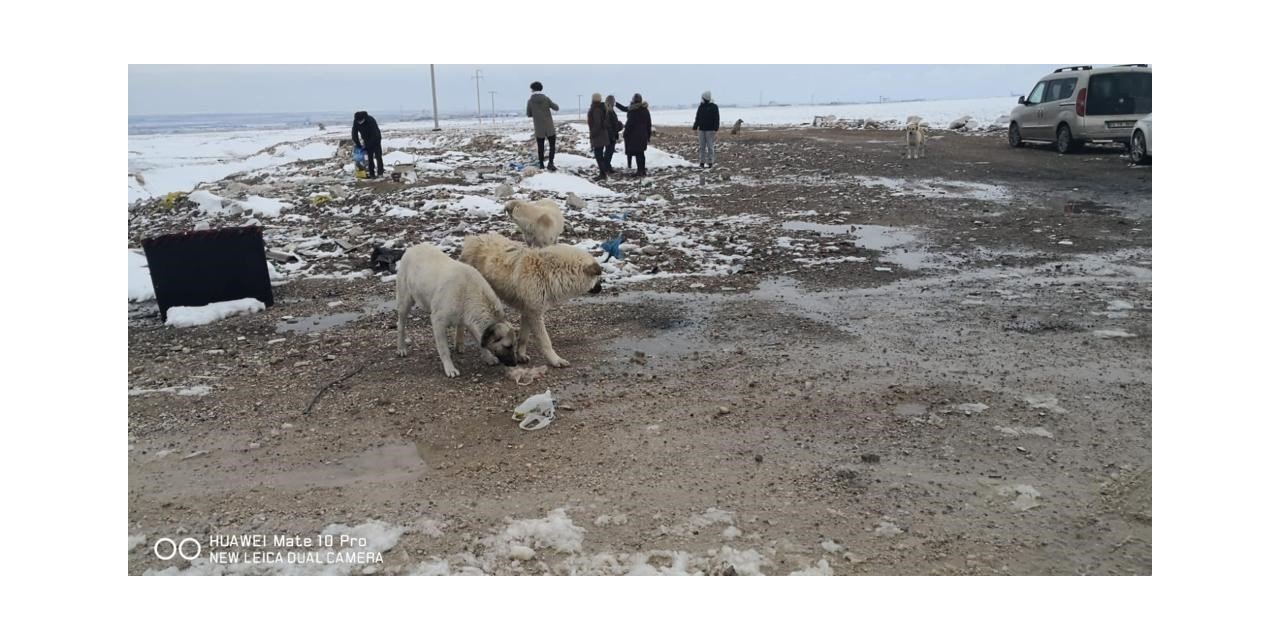 Karaman’da sokak hayvanlarına yem bırakıldı