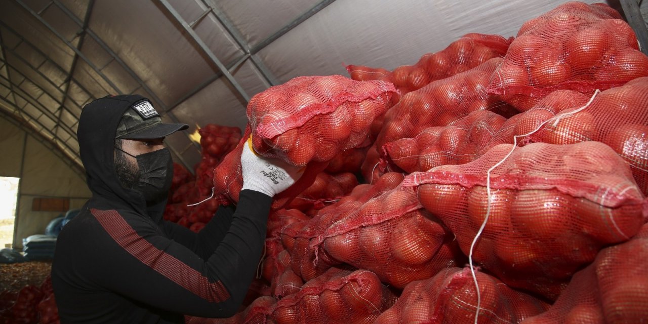 TMO, çiftçinin elinde kalan patates ve kuru soğanı maliyet fiyatına satın almaya başladı