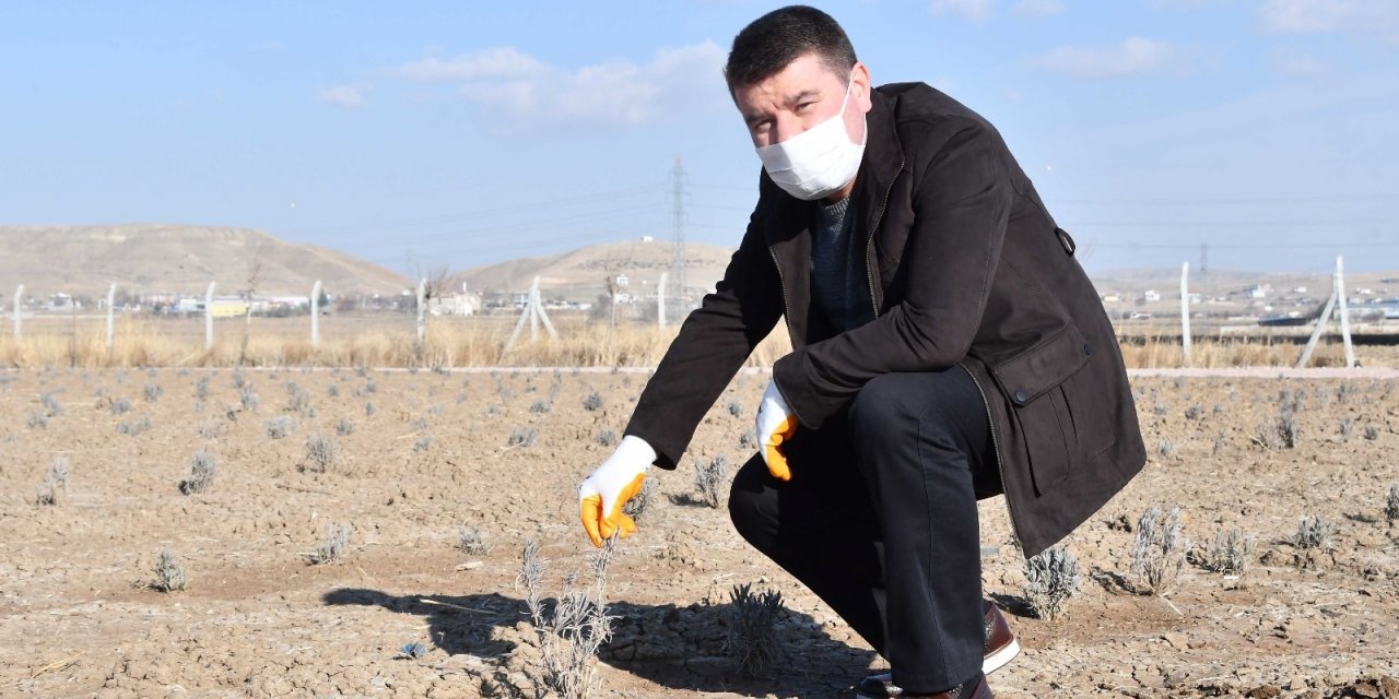 Başkan Dinçer: “Şehrimize yeni bir doğal yaşam alanı kazandırıyoruz”