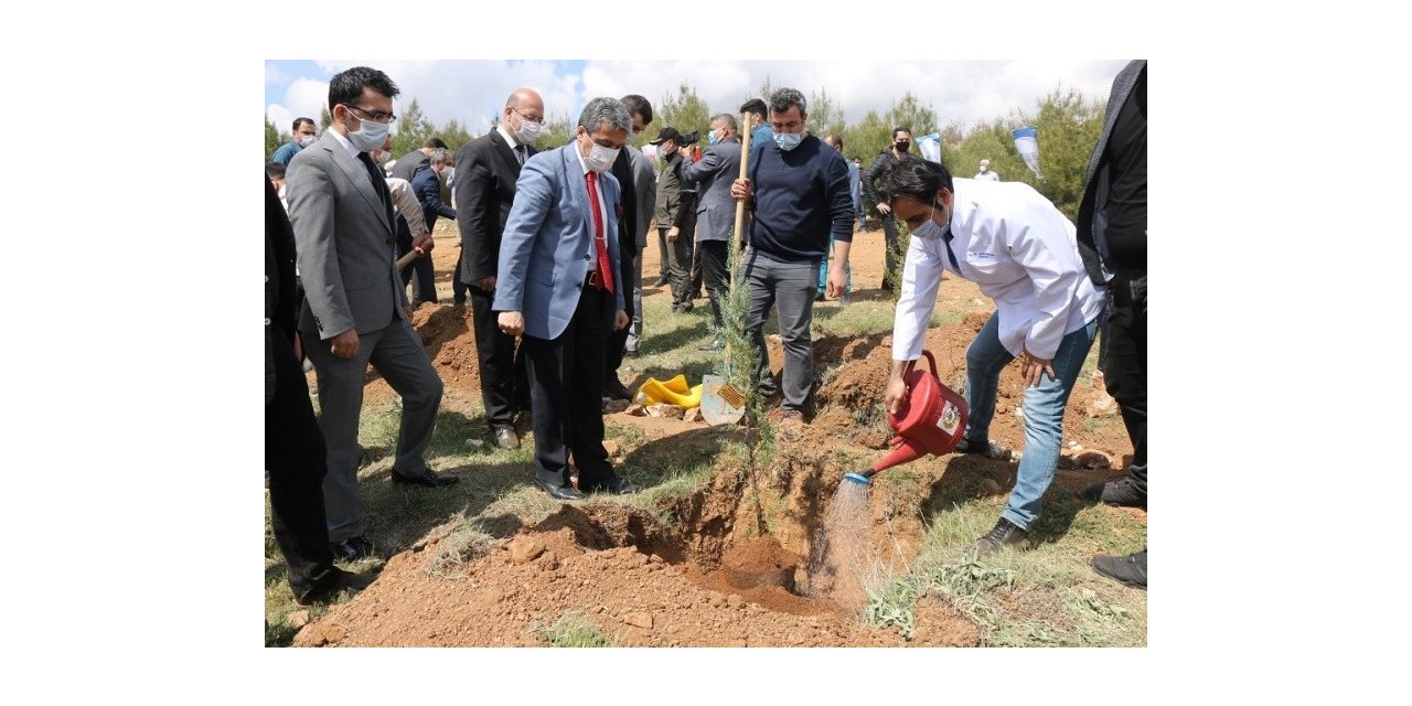 Hükümlüler, diktiği fidanları sağlık çalışanlarına adadı