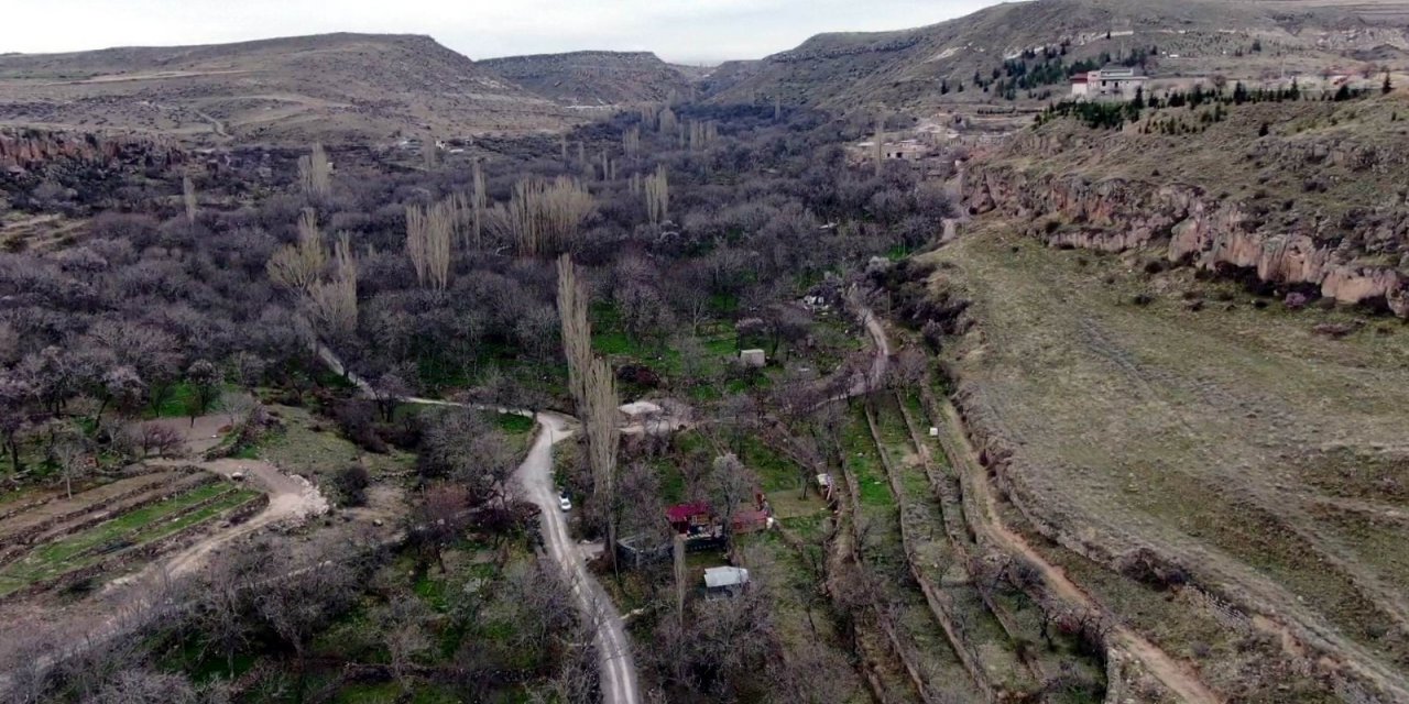 Koramaz Vadisi’nde ’bahar’ güzelliği